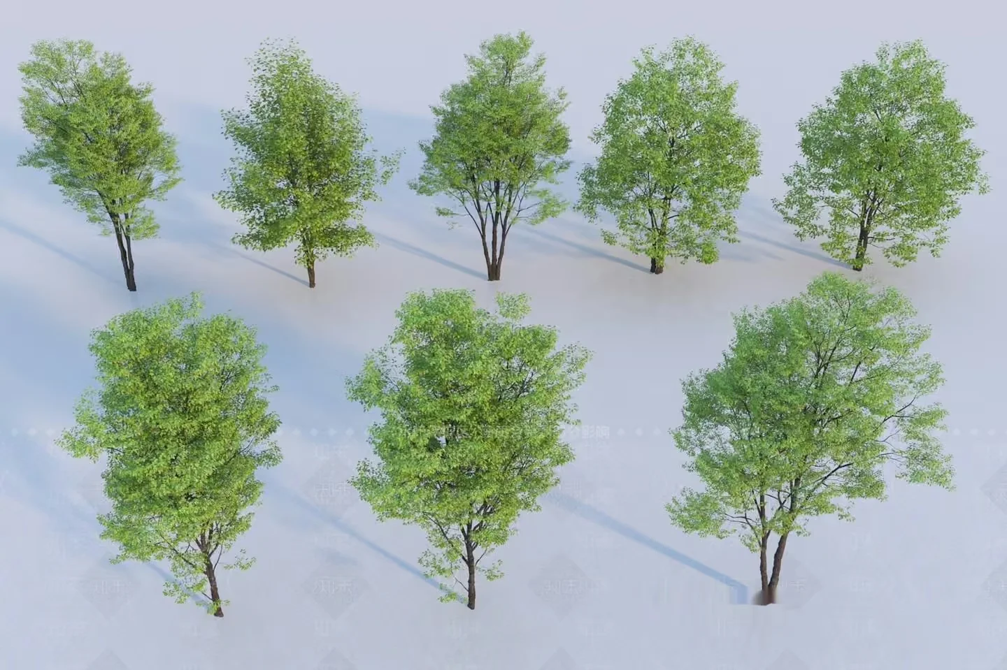 Trees With Green Leaves 3D Model – 11566 – VRAY Render