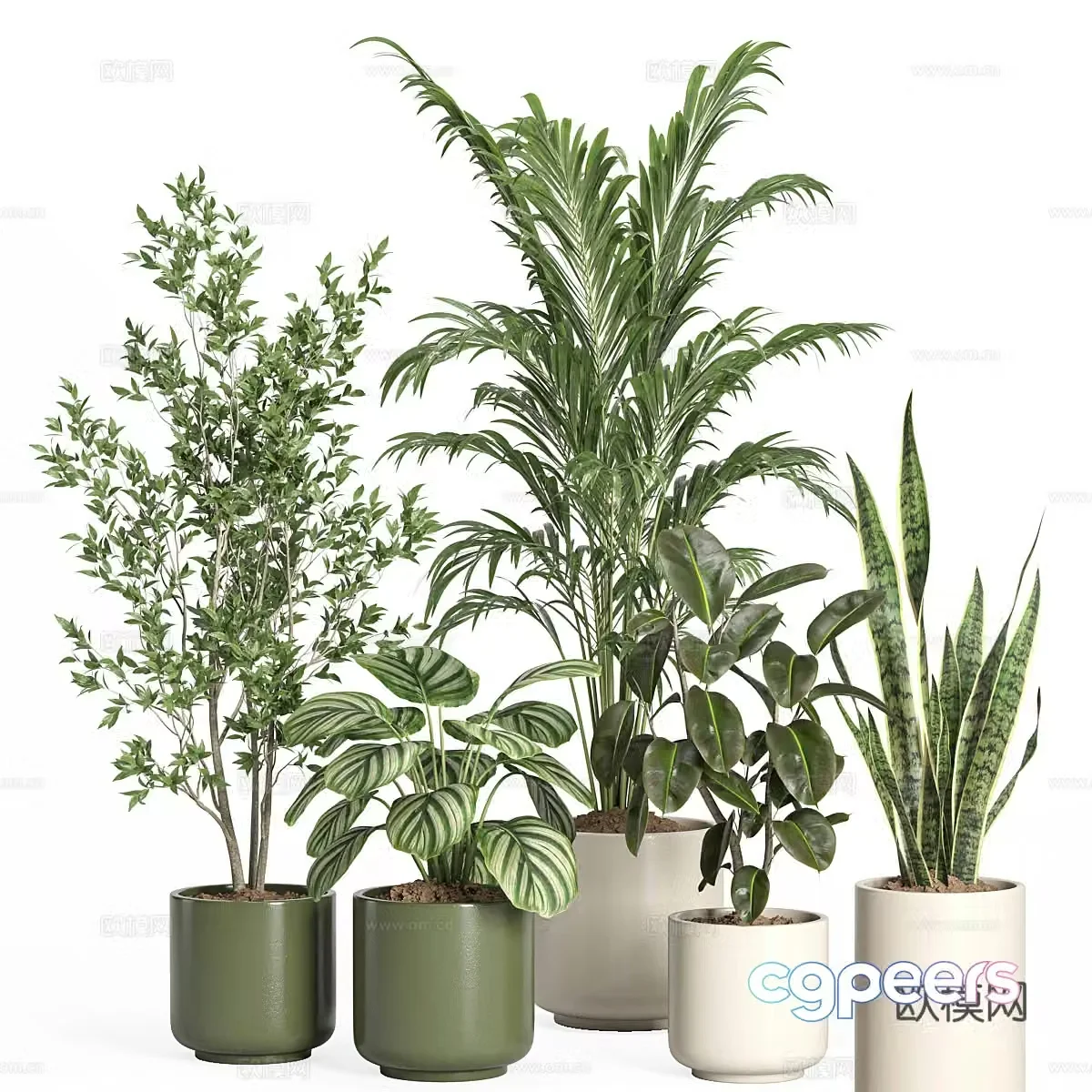 Modern green plant potted 3D model
