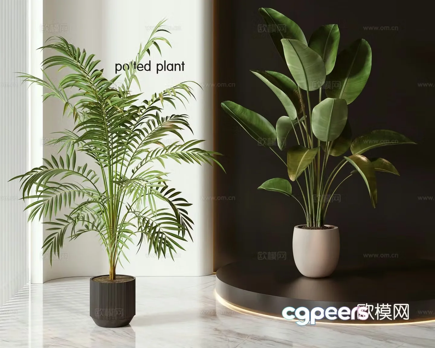 Modern potted plants bonsai green plants 3d model