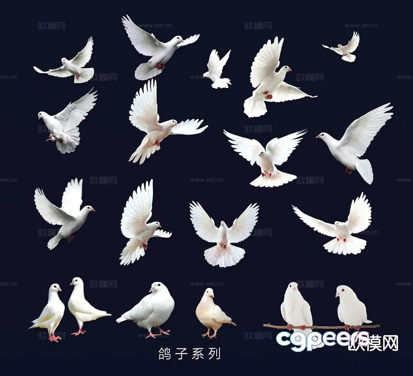 Peace dove dove wall decoration wall sticker animal 3d model