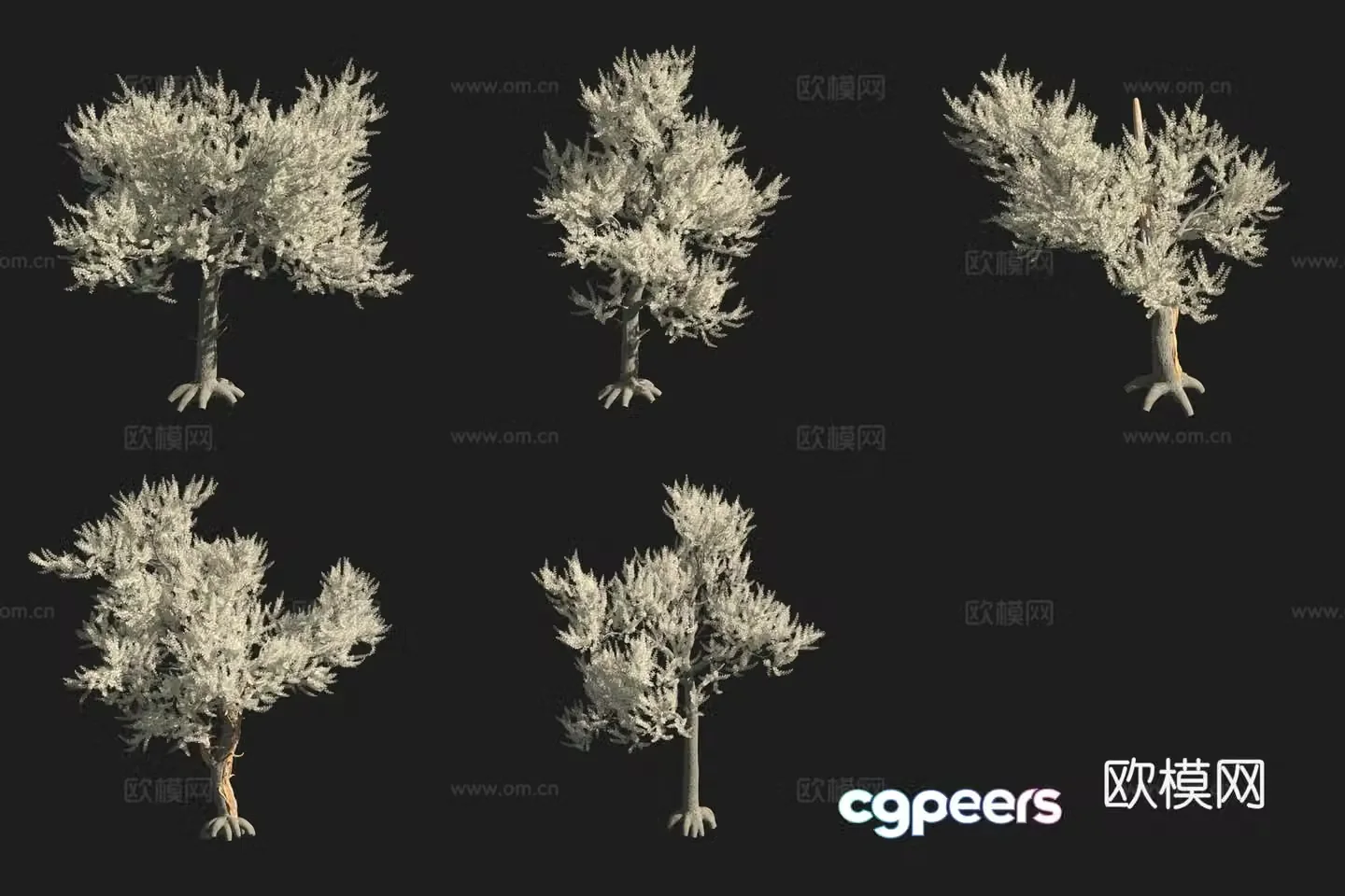North American tree 3D model