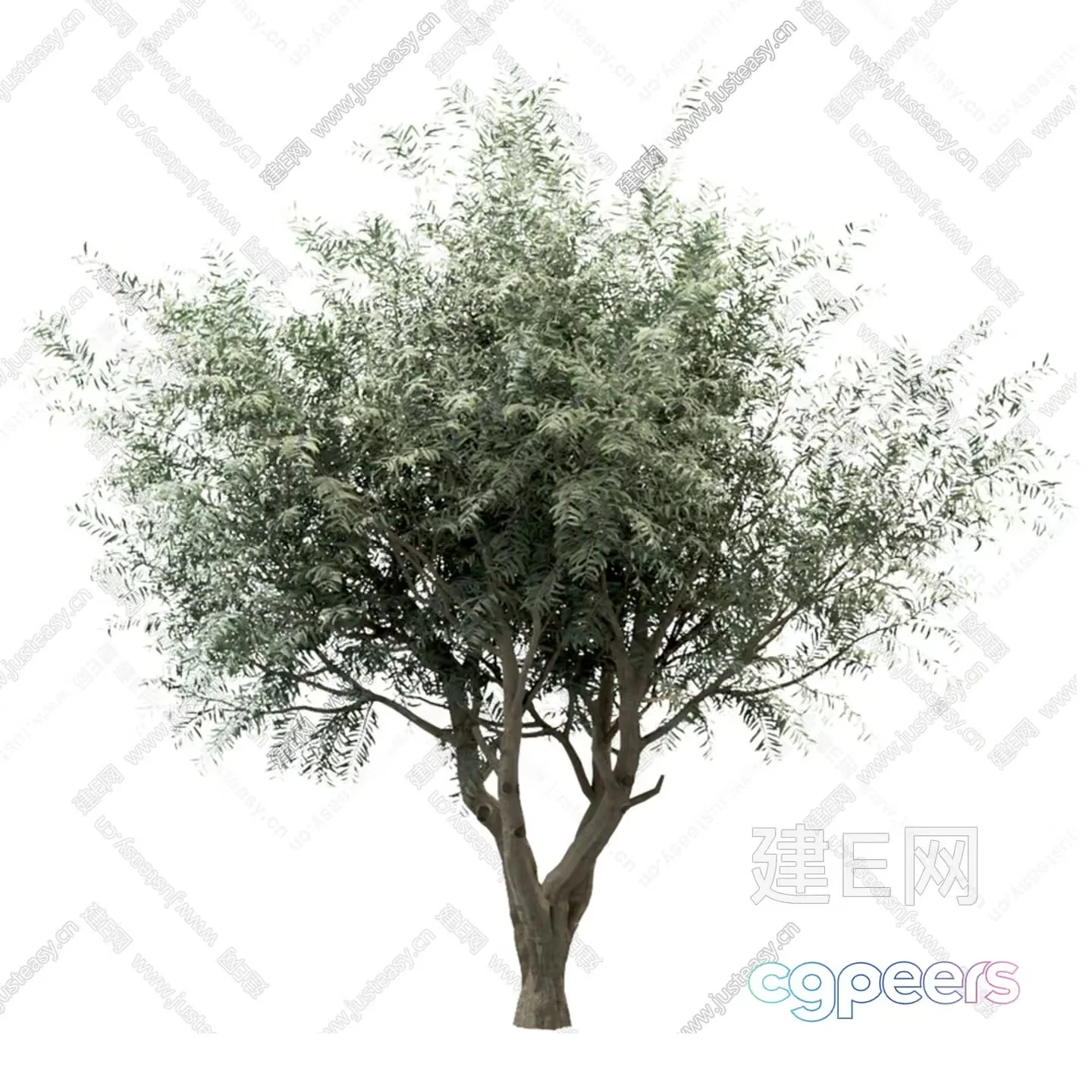 A Tree With Green Leaves 3D Model – 10832 – VRAY Render