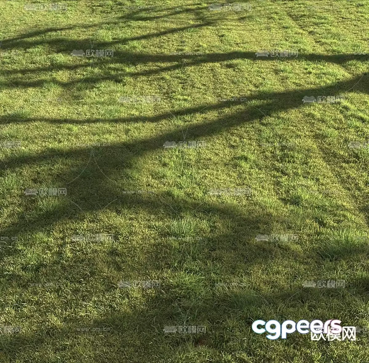 lawn grass turf green shade 3d model