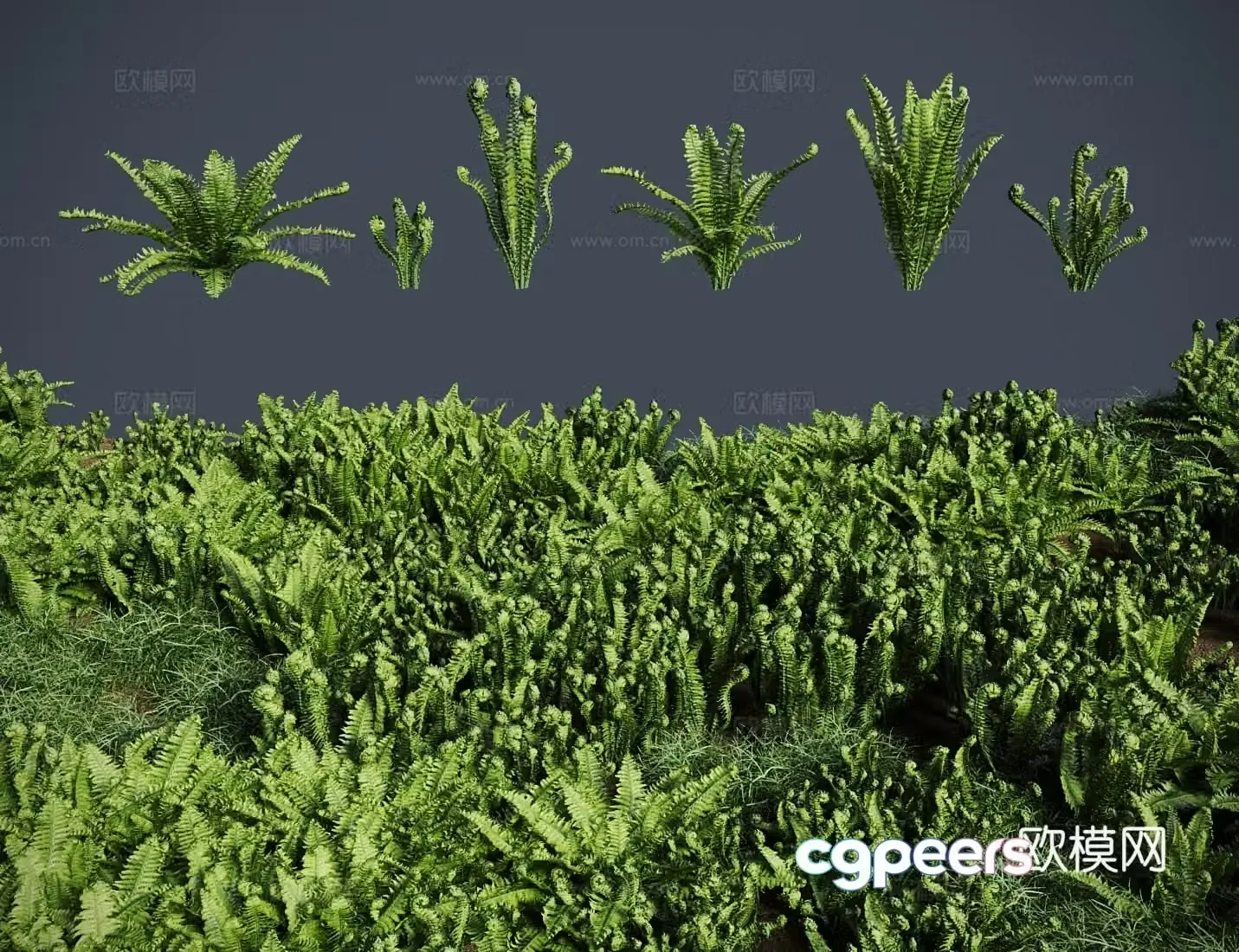 Modern grass lawn pod fern meadow shrub 3d model