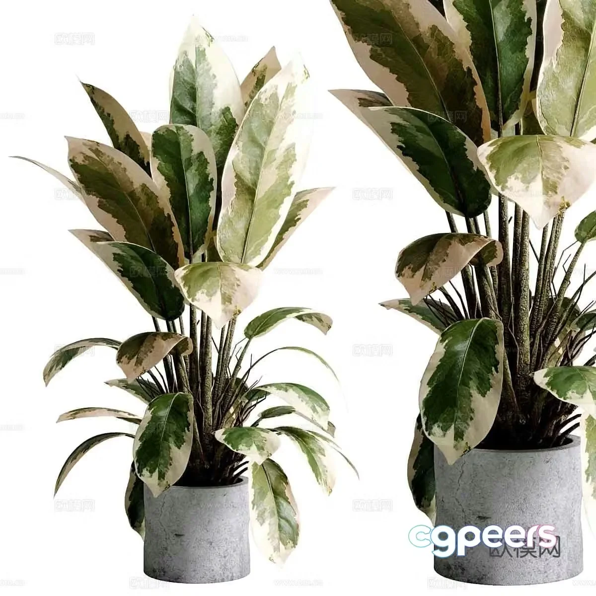 Modern green plant potted 3D model