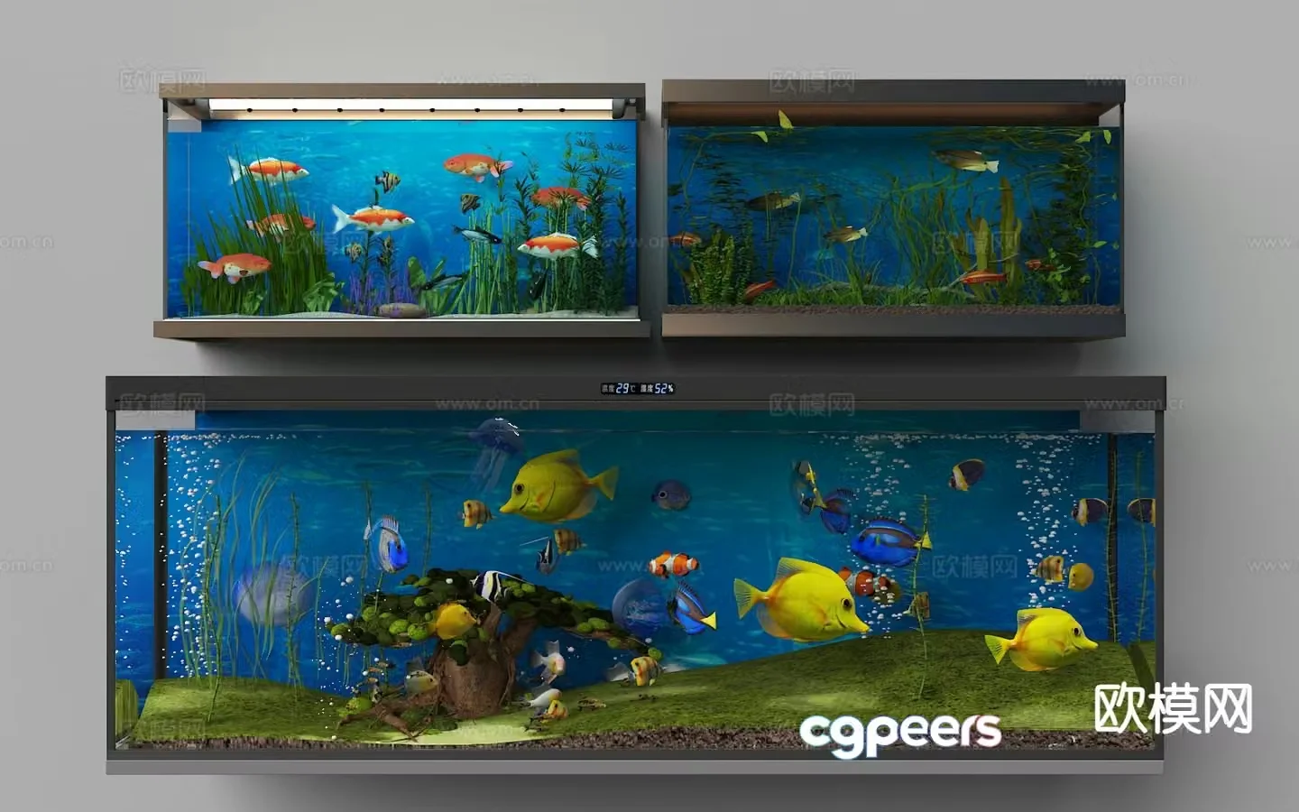Modern fish tank aquarium 3d model