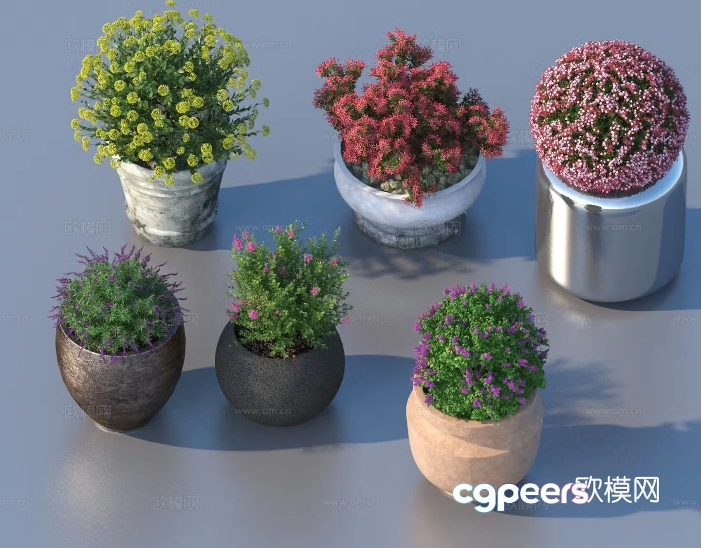 flowerpot potted plant green plant plant 3d model