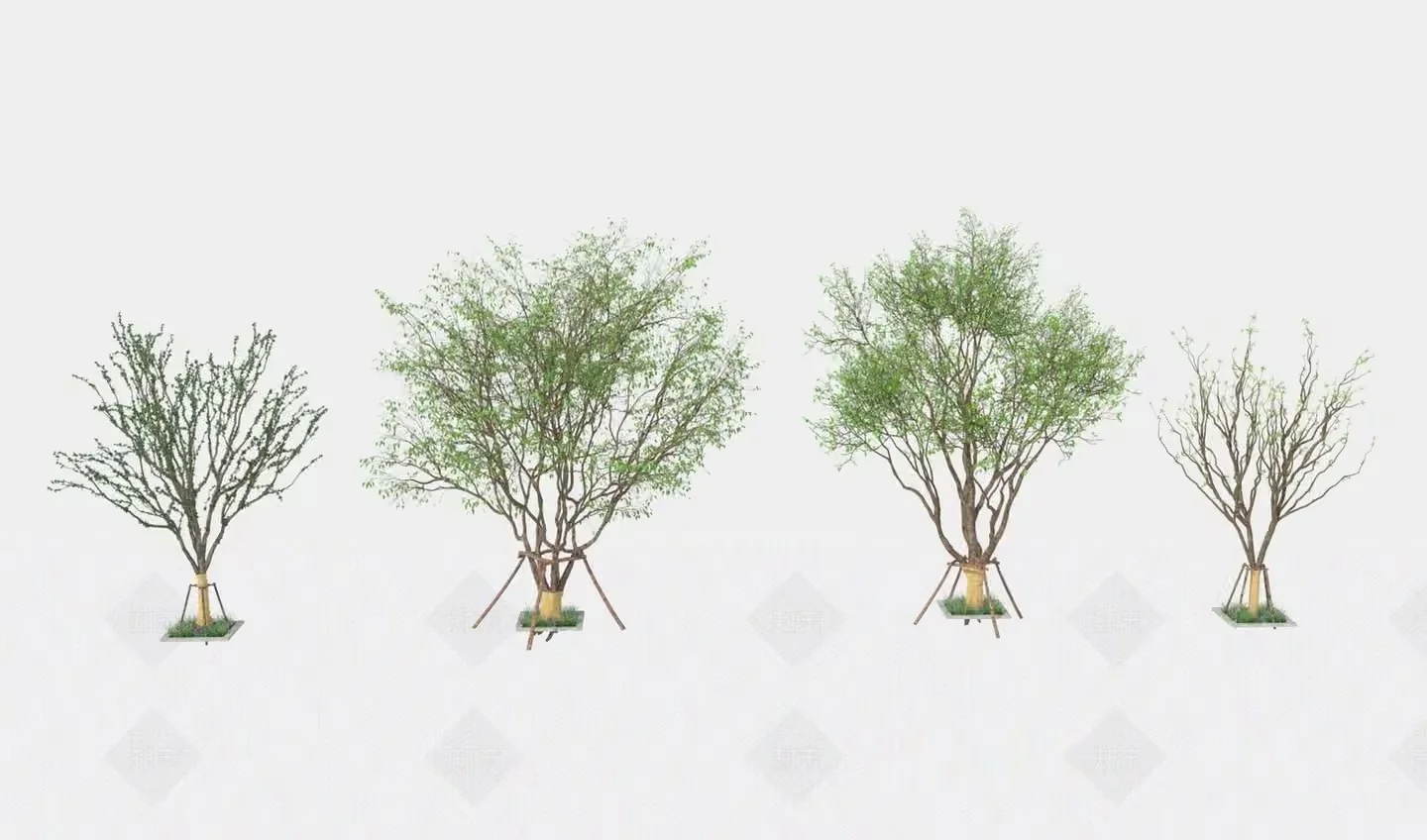 A Collection Of Four Trees 3D Model – 17402 – VRAY Render