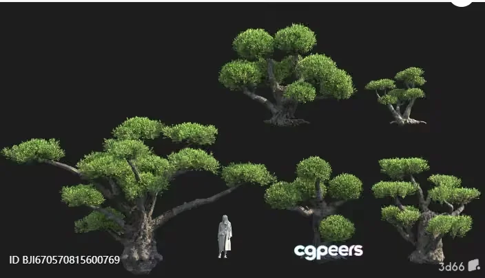 A Tree With A Person Standing Next To It 3D Model – 3359 – VRAY Render
