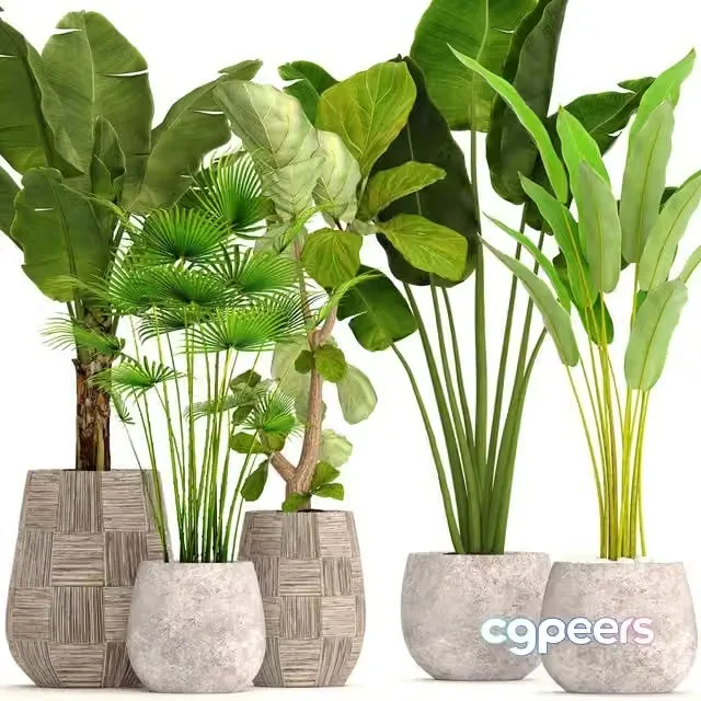 3ds Max Free – Collection of plants in pots 41