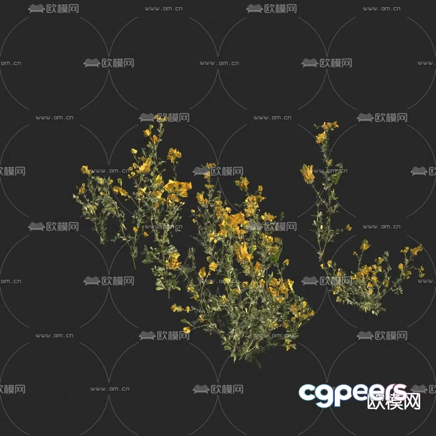 Flowers and plants Wild grass Yellow flowers 3d model