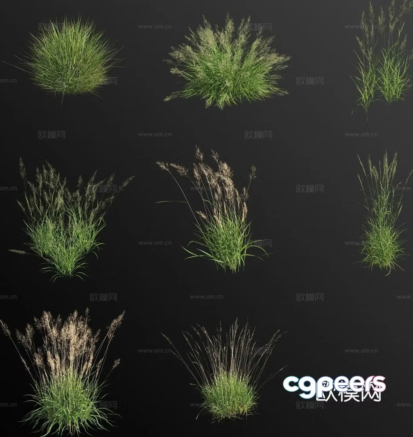 Wild green thatch weeds weeds flowers and grass 3d model