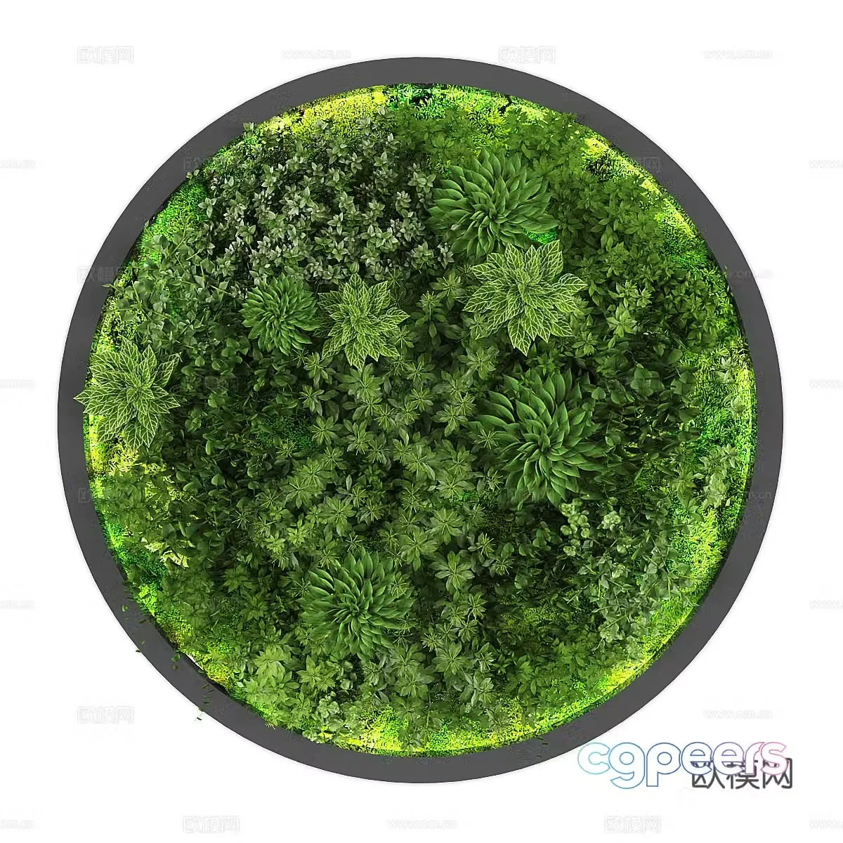 Green plant wall decoration circular hanging decoration plant wall 3d model
