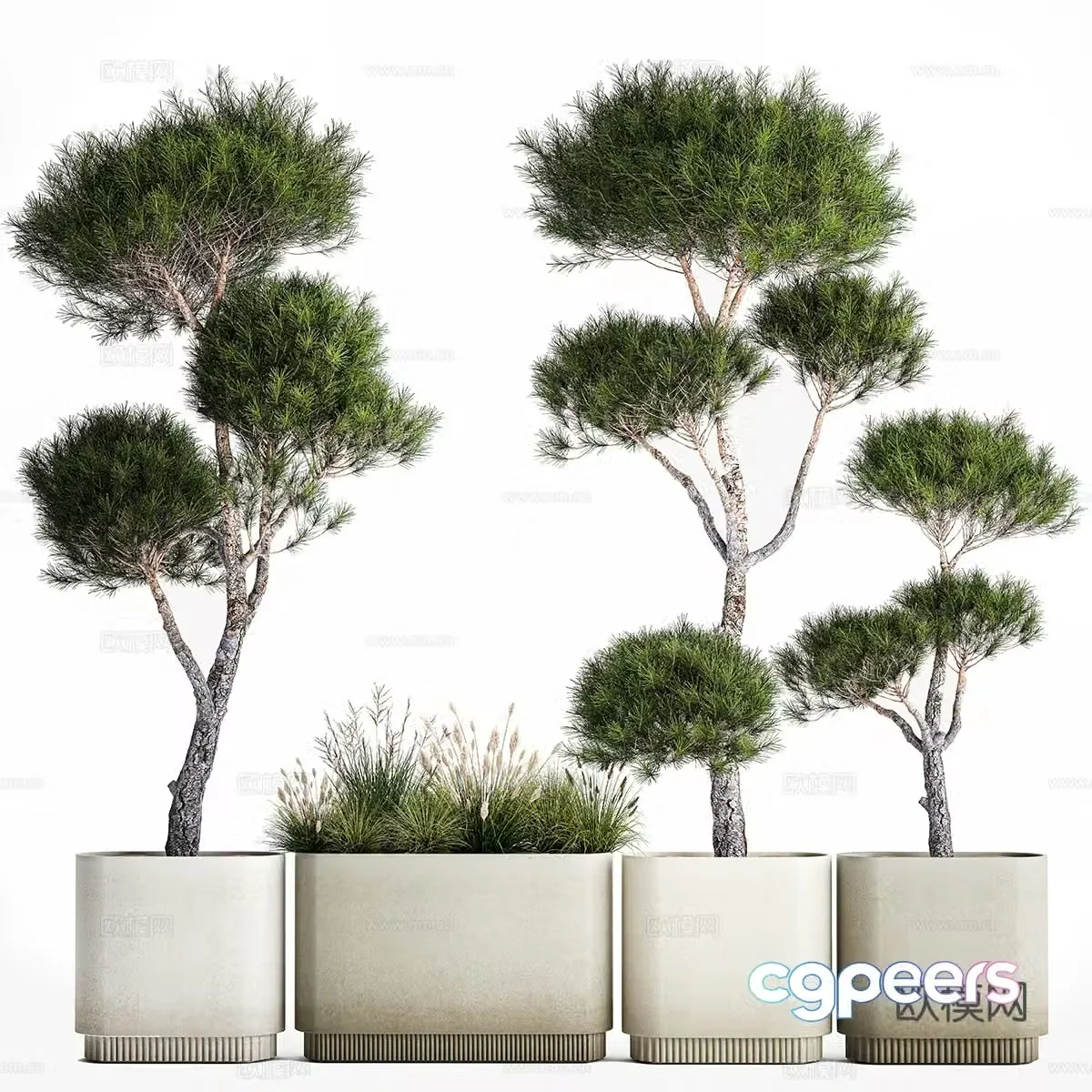 Green plant potted 3D model