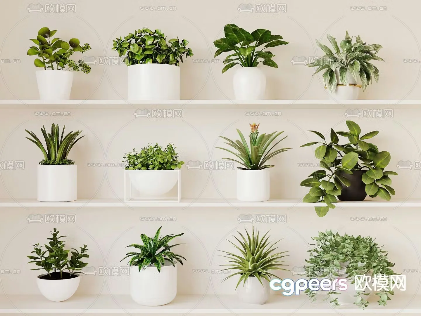 Modern plant potted 3D model