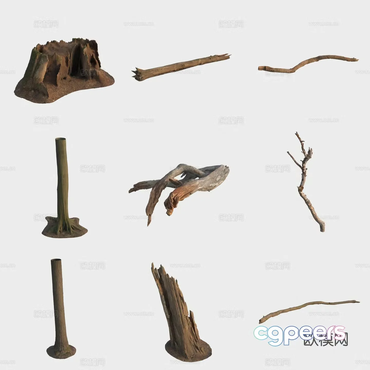 3d model of trunk branches stump