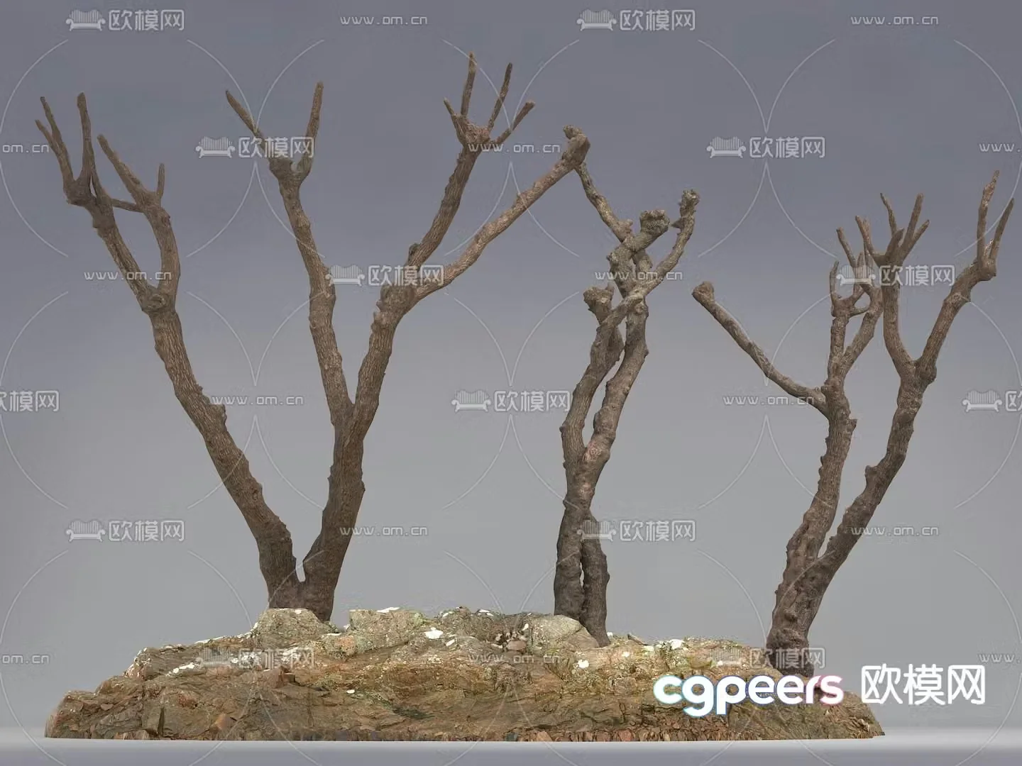 tree trunk dead branch 3d model