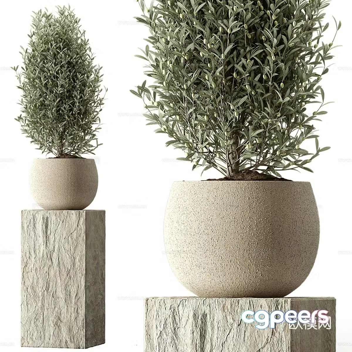 Vase flowers 3d model