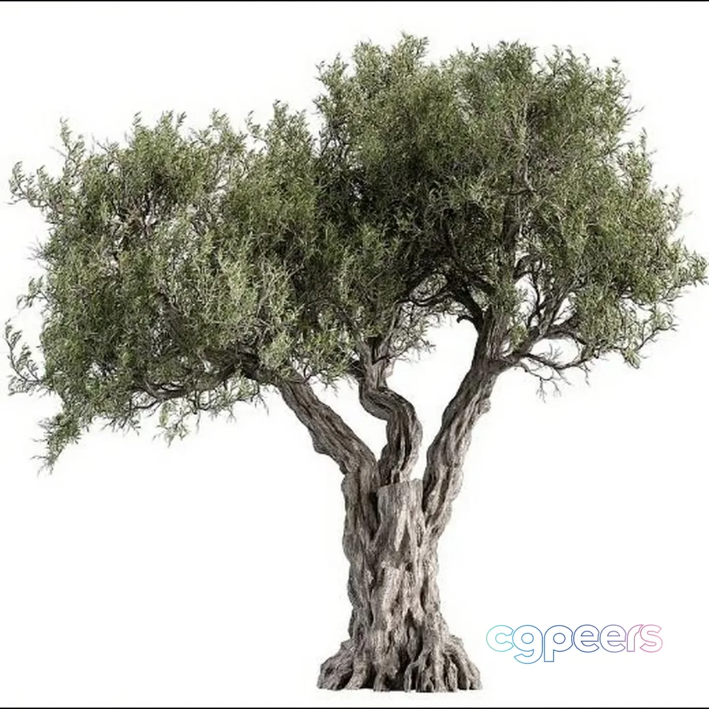 A Tree With Green Leaves 3D Model – 1823 – VRAY Render