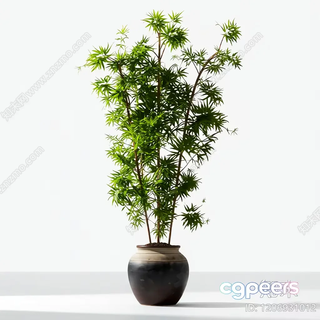 A Tall Plant In A Pot 3D Model – 23152 – VRAY Render