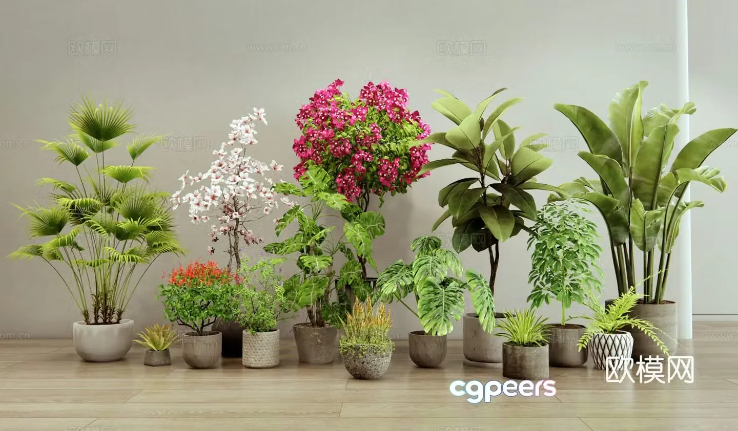 Plant potted plant flower pot bougainvillea 3d model
