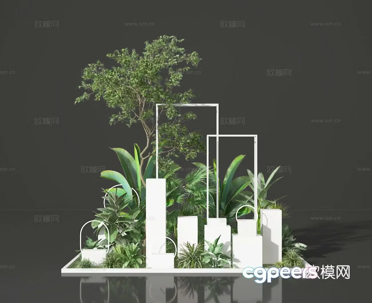 Plant beauty 3D model