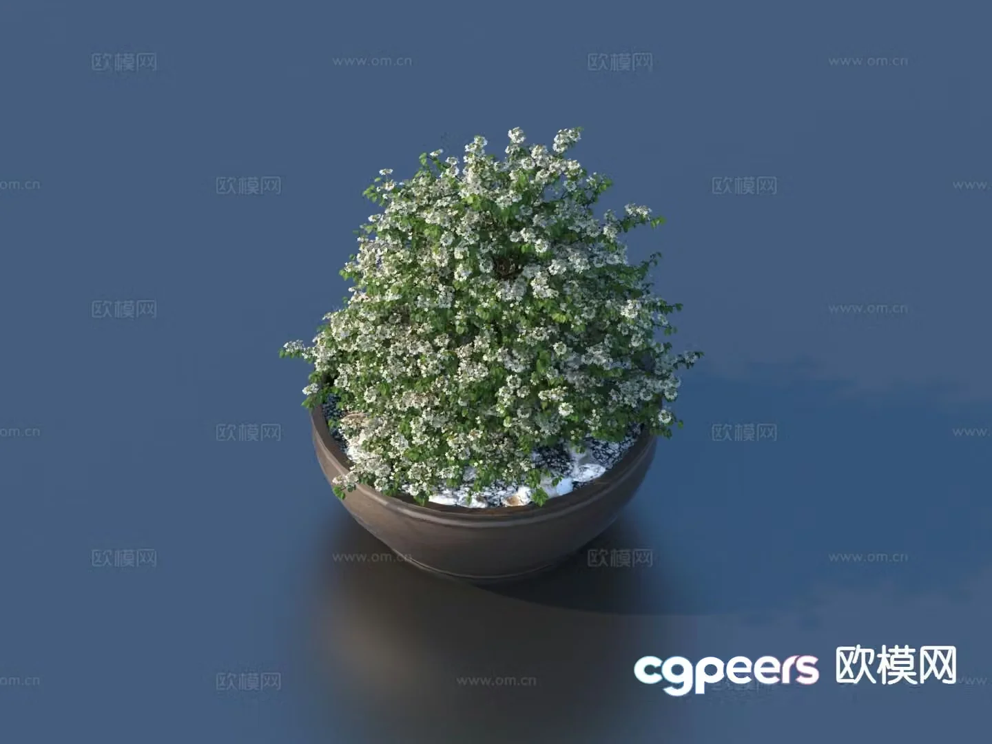 Flower pot pot 3d model