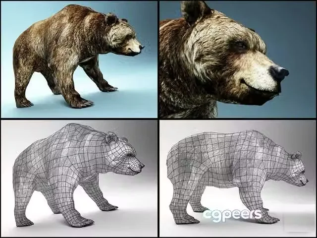 3ds Max Free – Bear