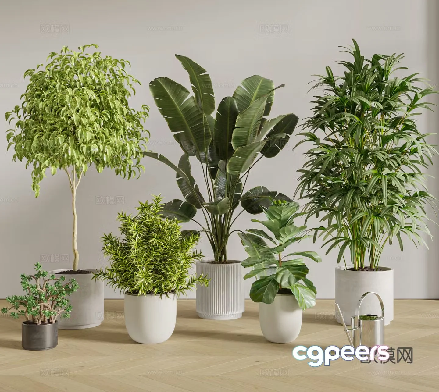 Modern potted plants 3D model