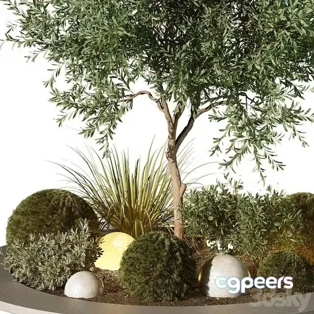 3ds Max Free – Outdoor Plant 196
