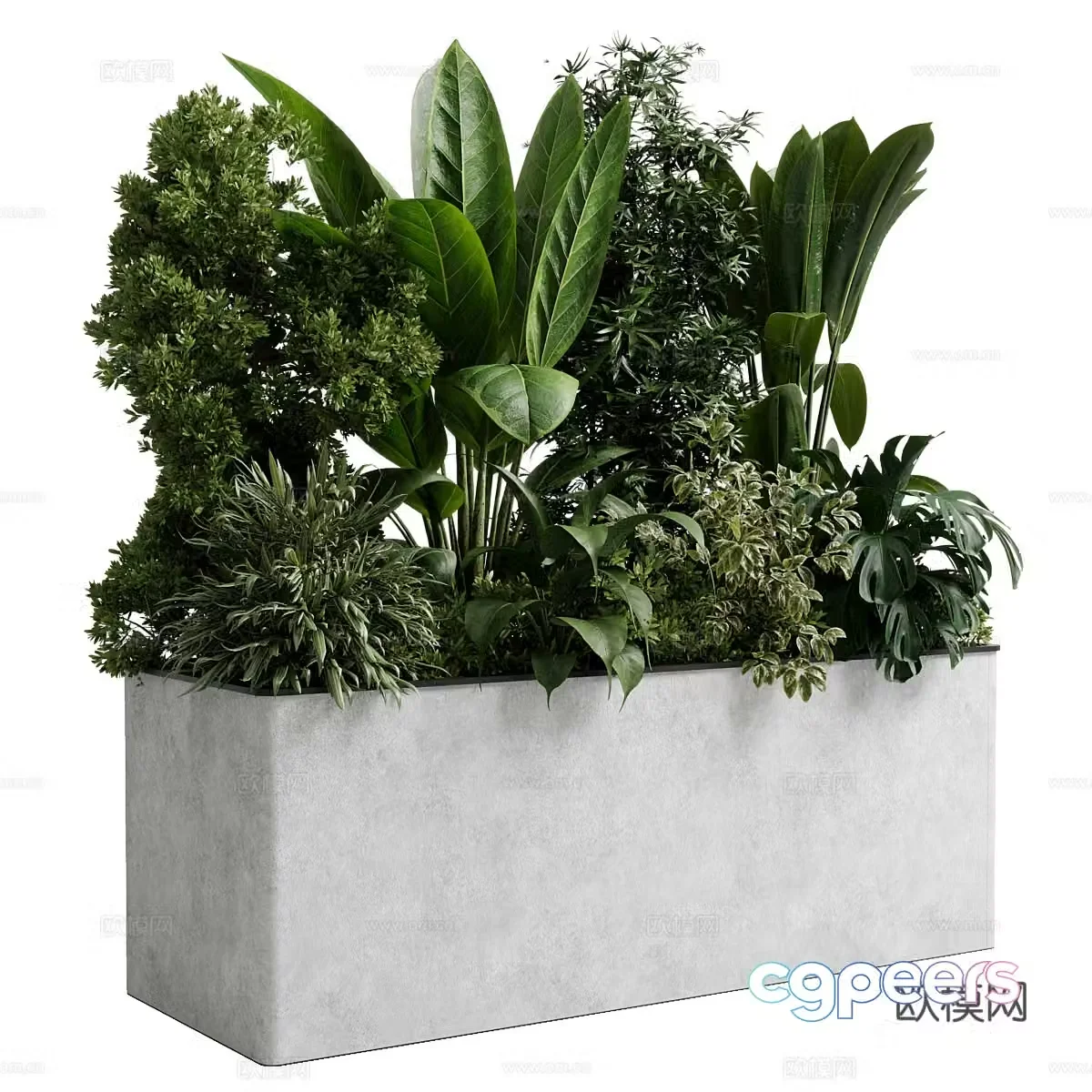 Modern box plant 3d model