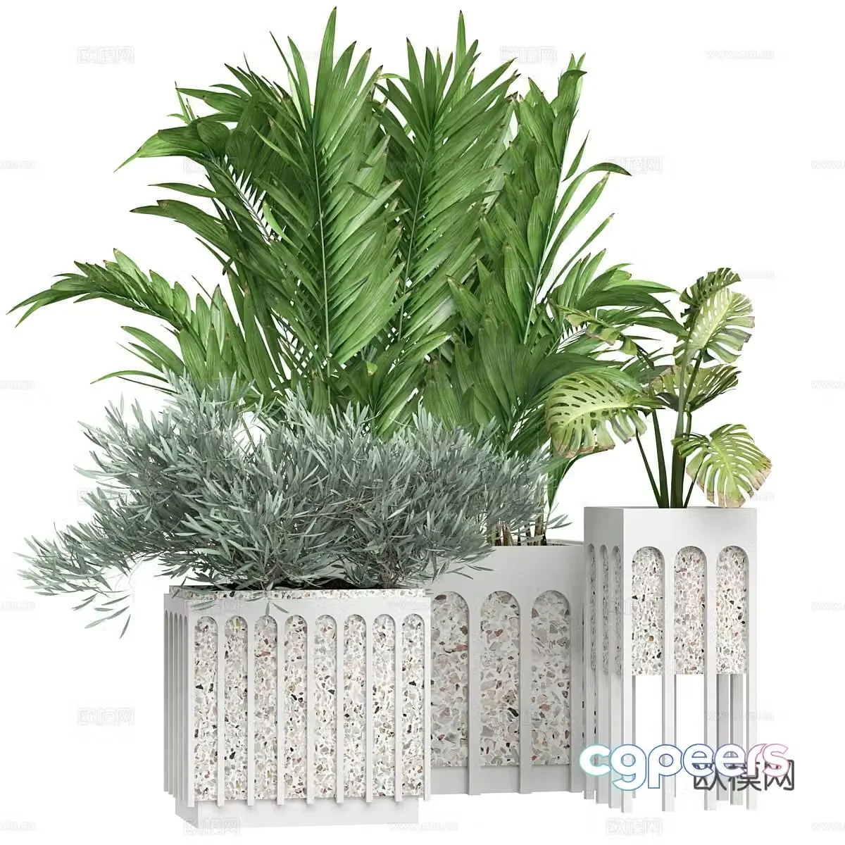 Green plant potted 3D model