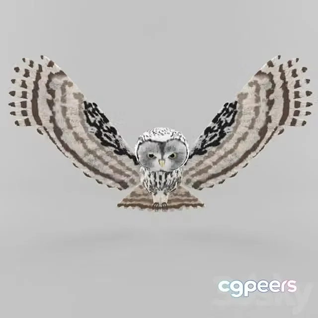 3ds Max Free – Owl with outstretched wings