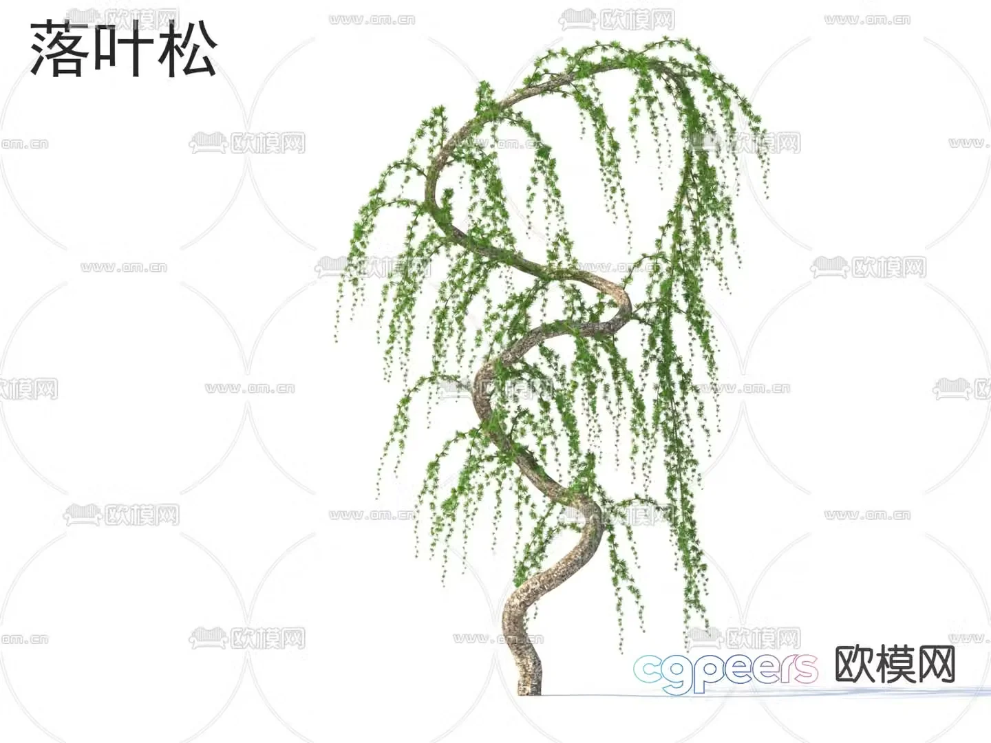 Small Tree Tree Willow 3D Model