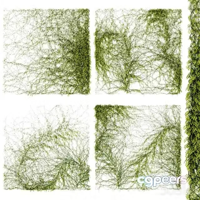 3ds Max Free – Leaves for walls v4