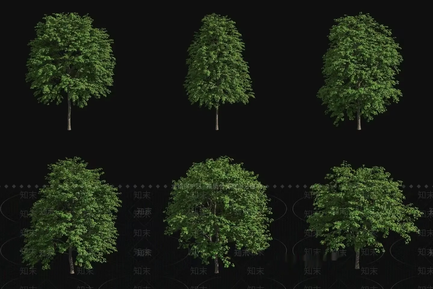 A Tree With Green Leaves 3D Model – 14722 – VRAY Render