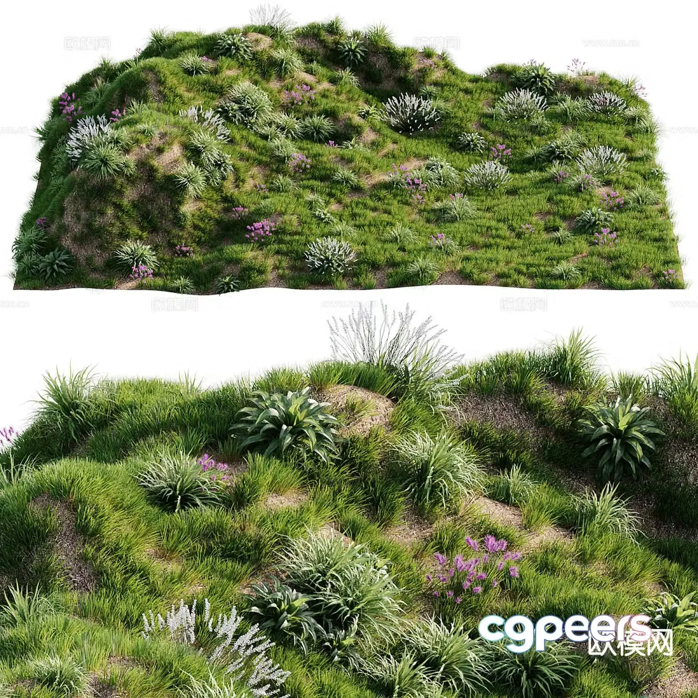 lawn grass weed moss land 3d model