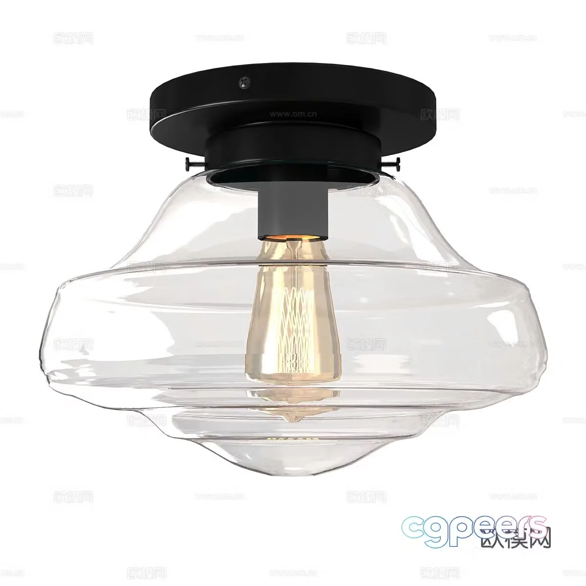 Modern glass ceiling light 3d model