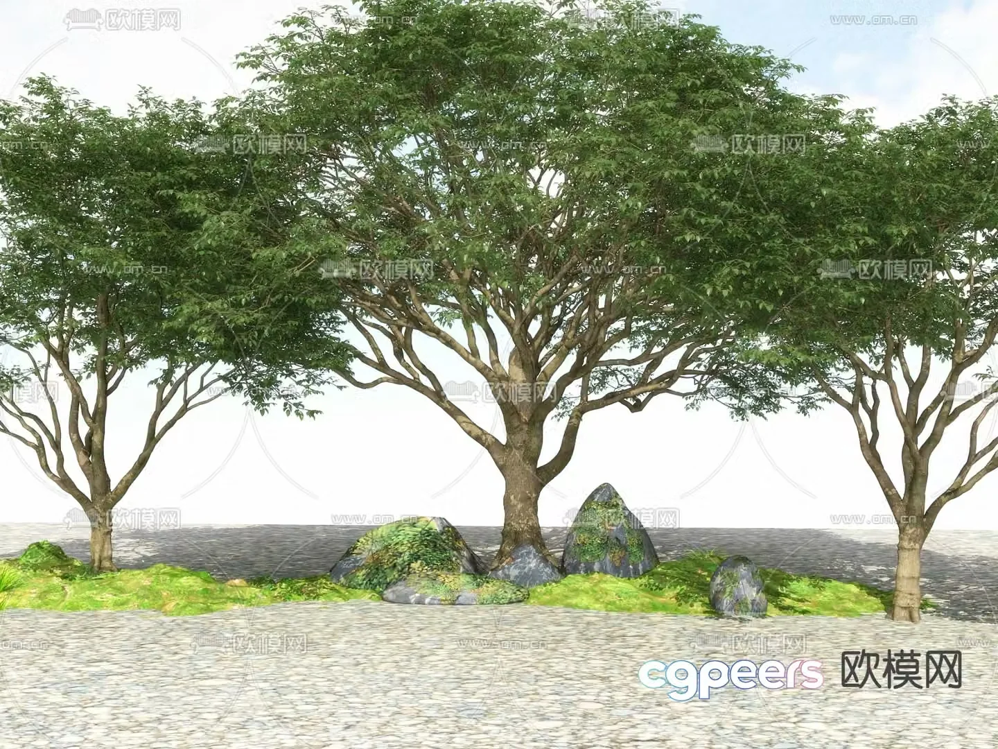Outdoor green plants tree tree big tree tree 3d model