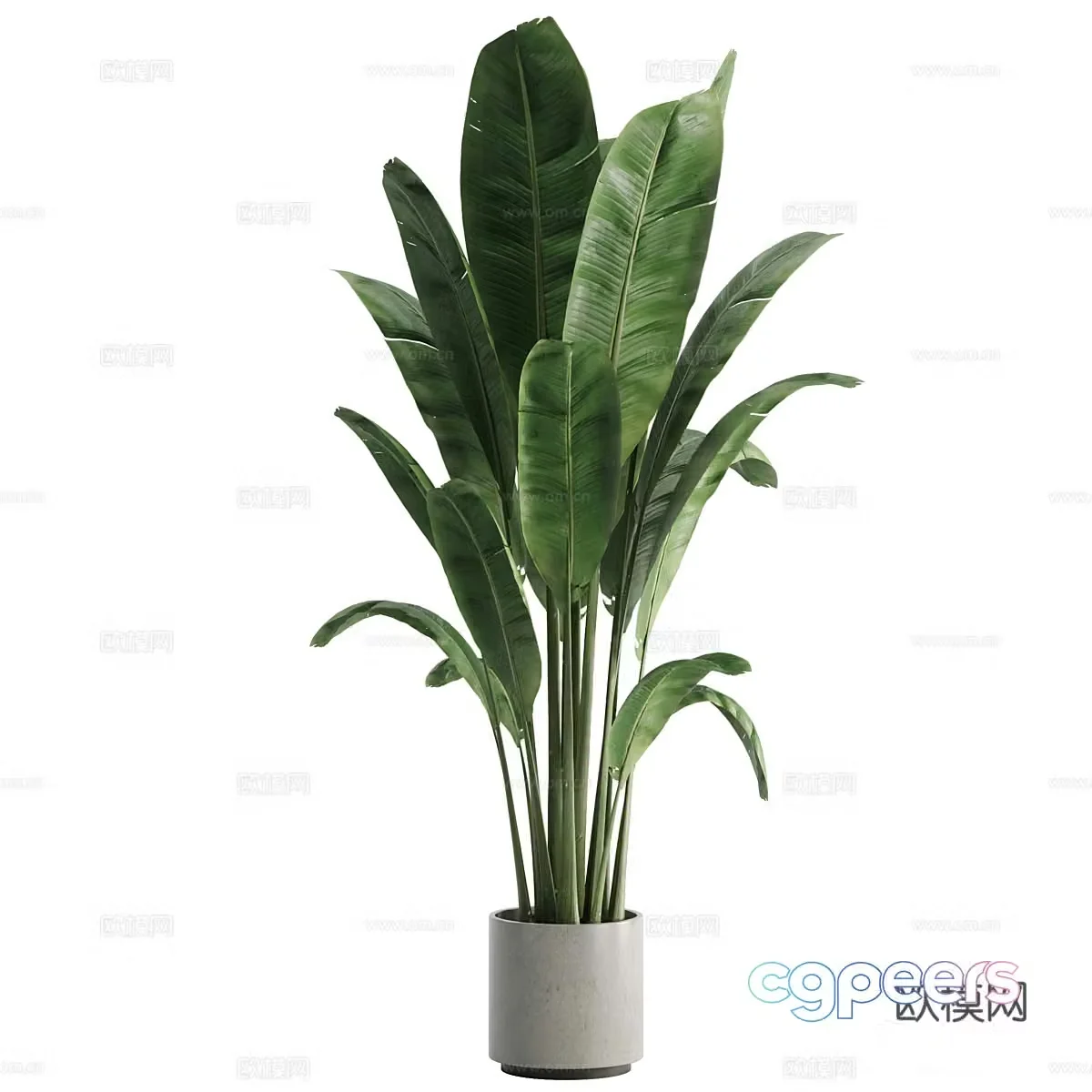 Modern green plant potted 3D model