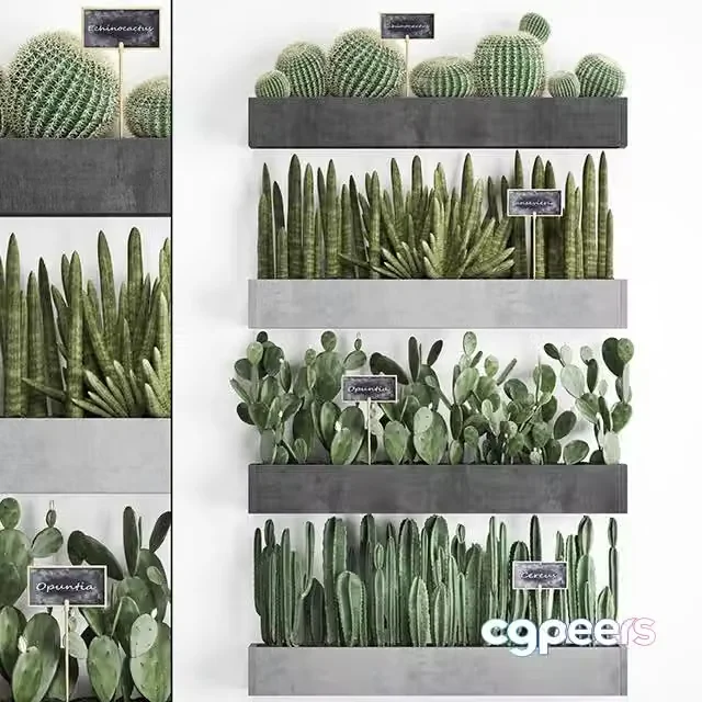 3ds Max Free – Collection of plants vertical gardening in wooden wall-mounted black pots shelves Set 43