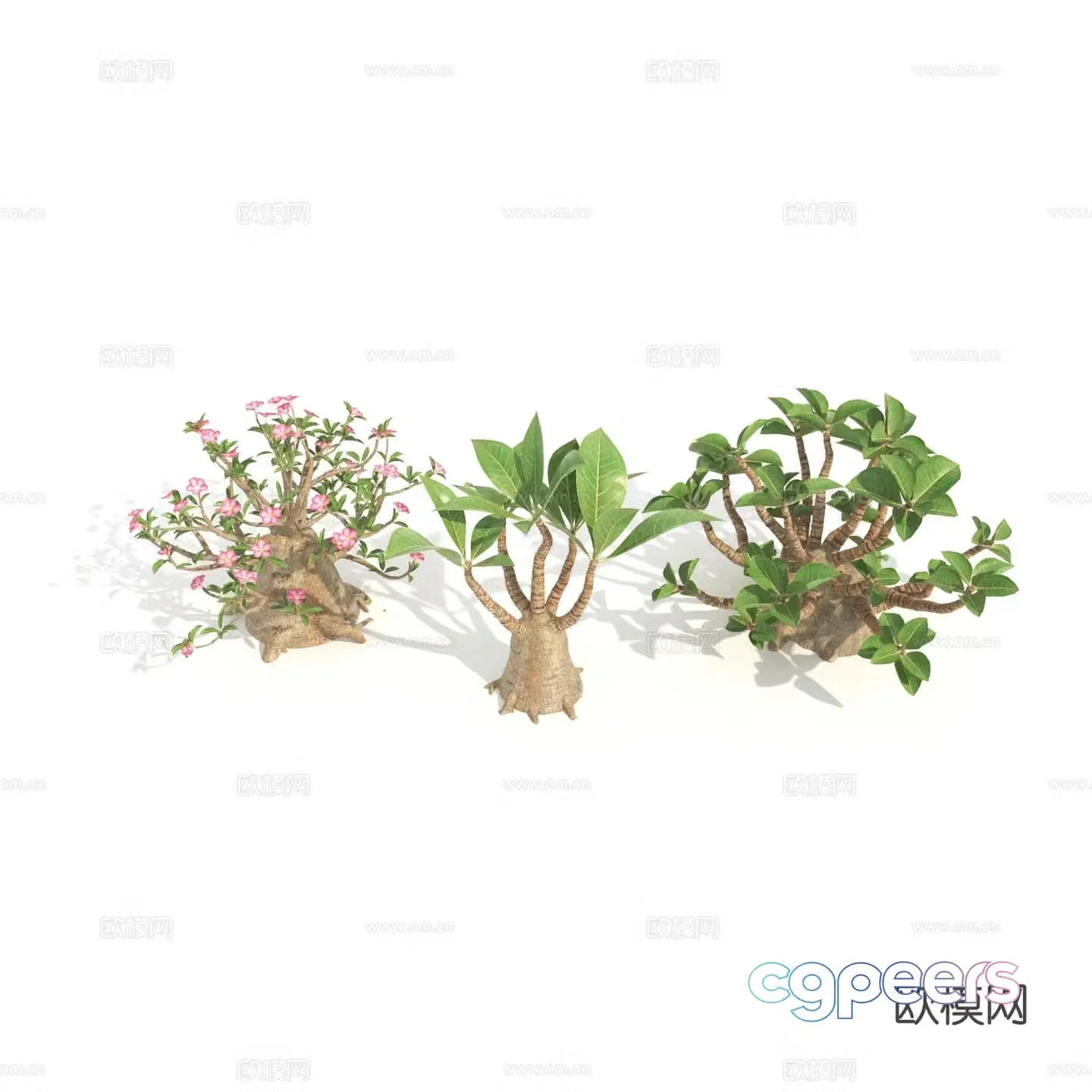 Plants Green Plants Shrubs Flowers 3d model