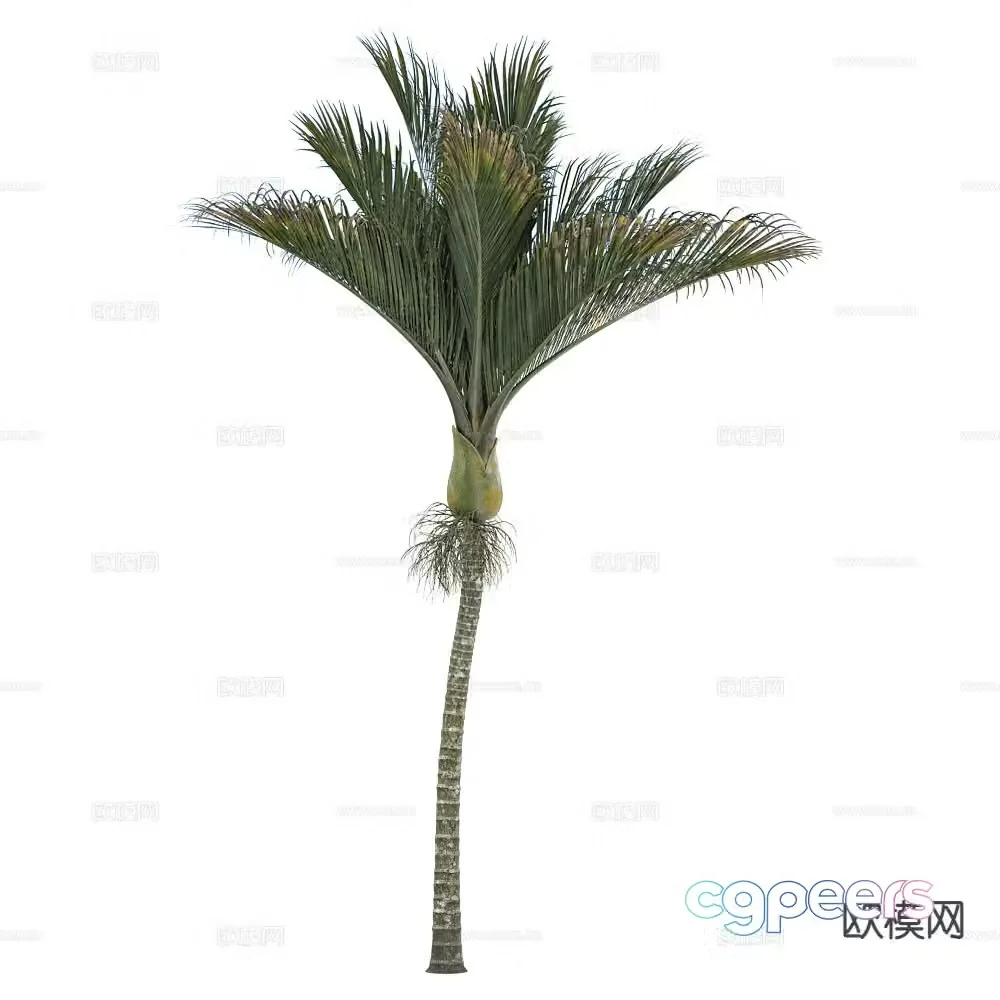 Landscape tree tropical green plants coconut tree 3d model