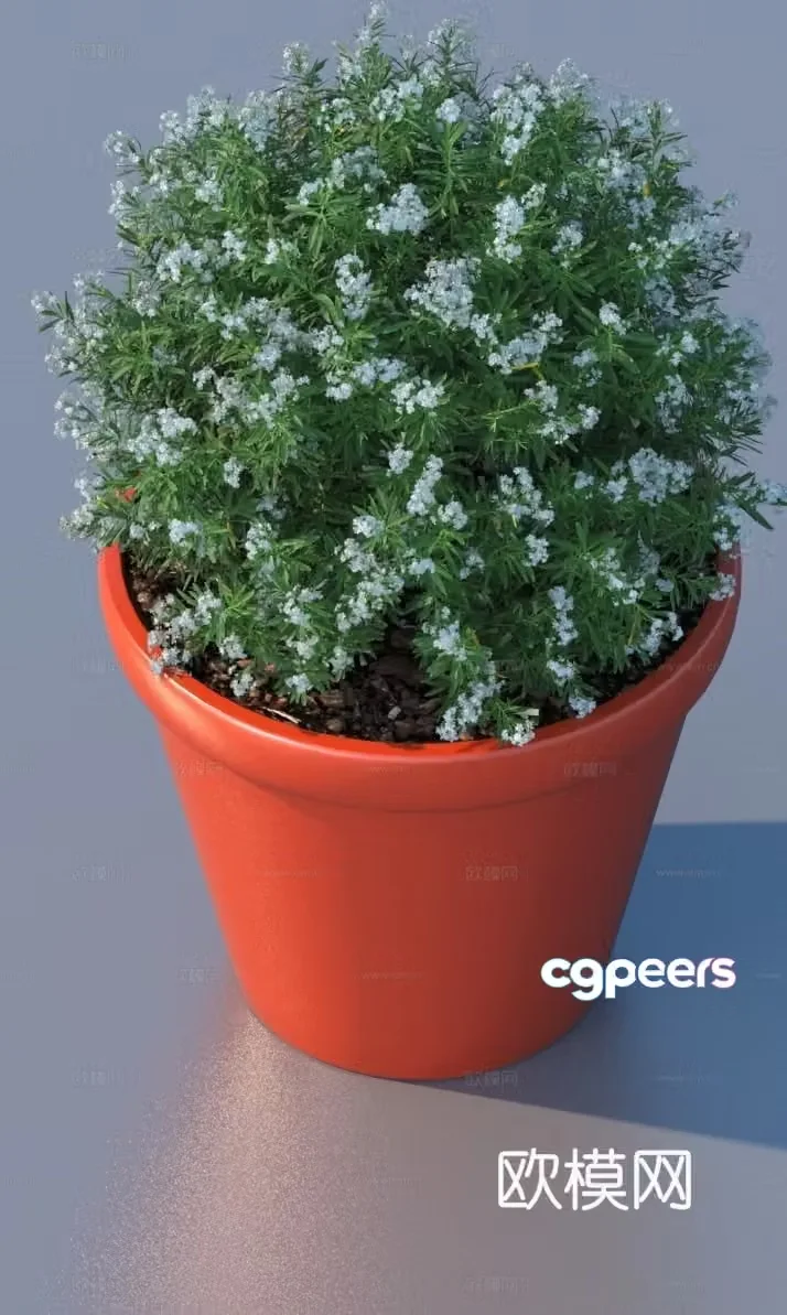 flowerpot potted plant green plant plant 3d model