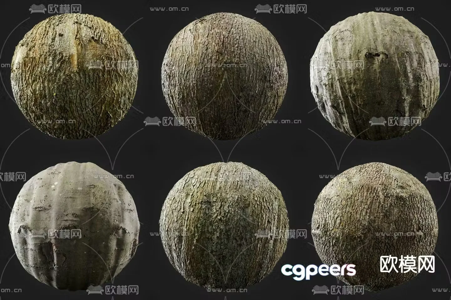 bark tree grain wood grain 3d model