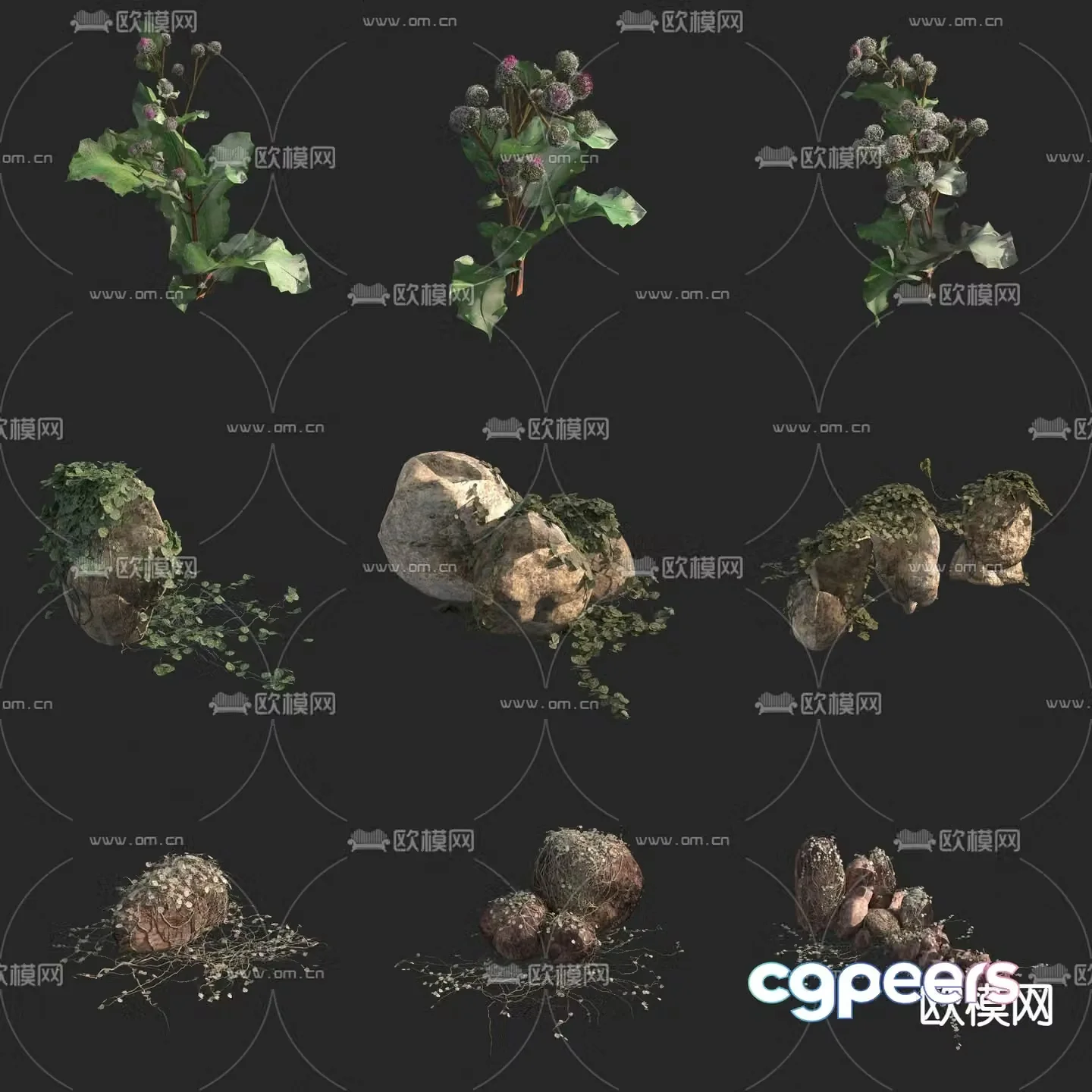 Haitou Burdock Park Bee Lotus Wild Flower Wild Weed 3D Model