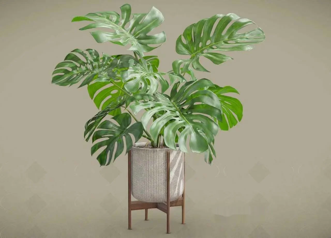 A Plant In A Pot 3D Model – 2217 – VRAY Render