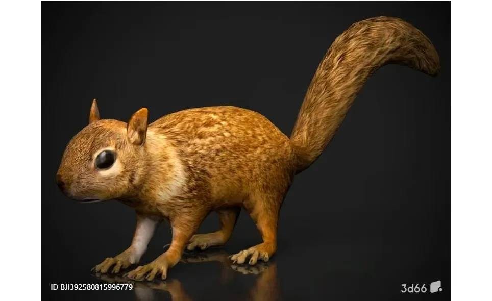 A 3D Rendering Of A Squirrel 3D Model – 11476 – VRAY Render