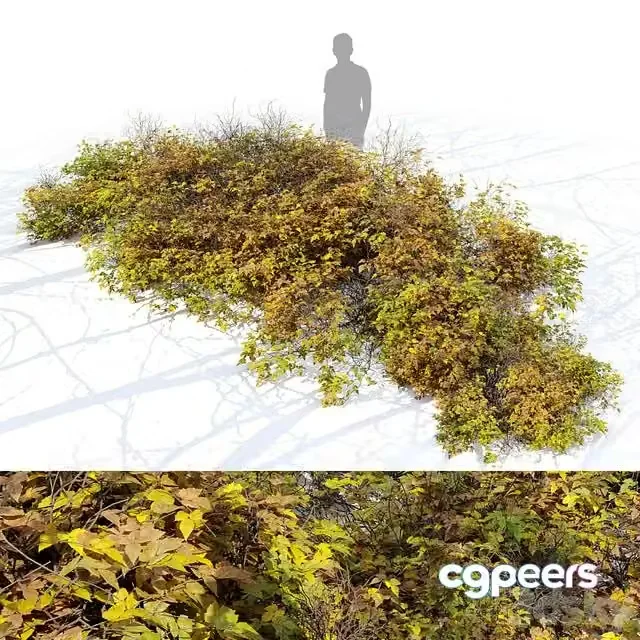 3ds Max Free – Bush 024