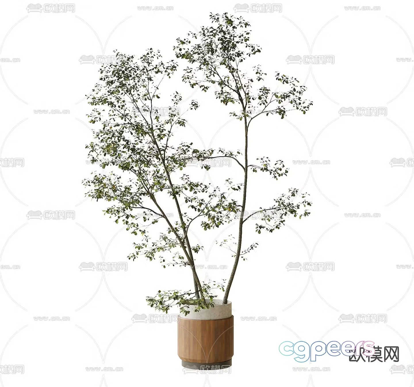 Modern potted plant plant ornaments 3D model
